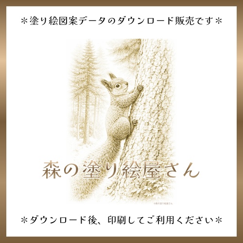 【塗り絵図案】エゾリス