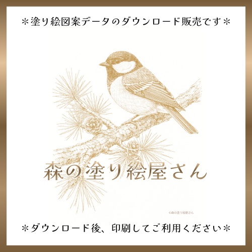 【塗り絵図案】シジュウカラ