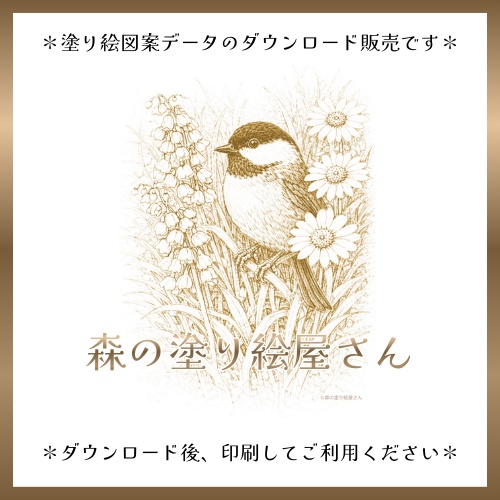 【塗り絵図案】シジュウカラと野花