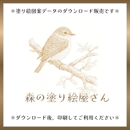 【塗り絵図案】メジロ