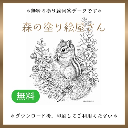 【無料塗り絵図案】シマリス