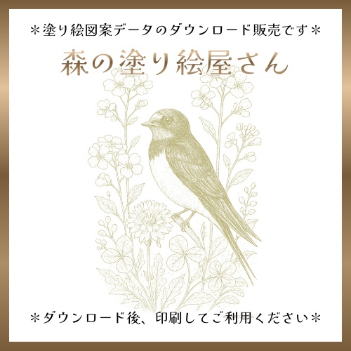 【塗り絵図案】ツバメと菜の花