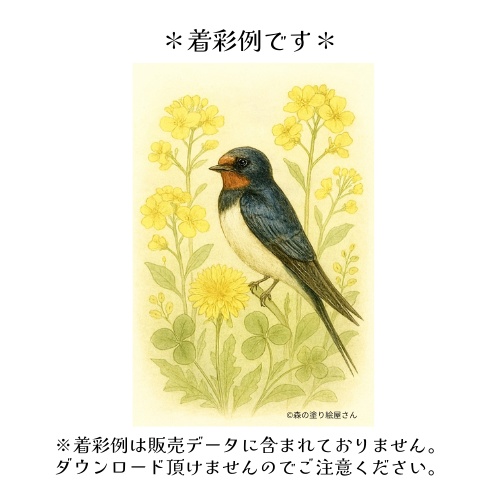 【塗り絵図案】ツバメと菜の花