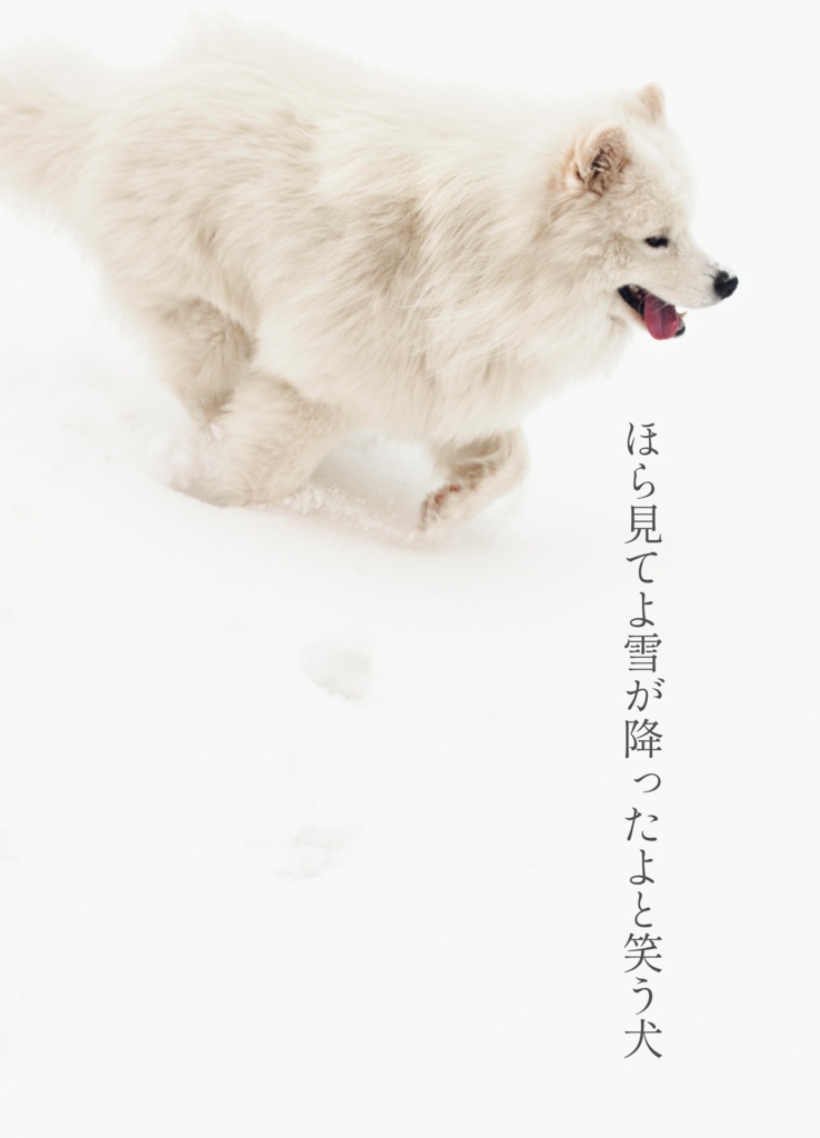 【オリジナル】俳句集 半色の季節に【A6】【データ版有】