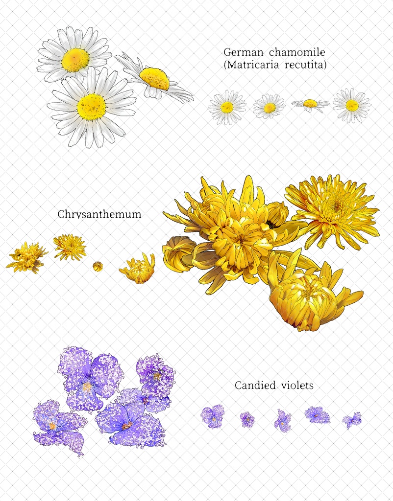 西洋・東洋ティータイムブラシ 51種