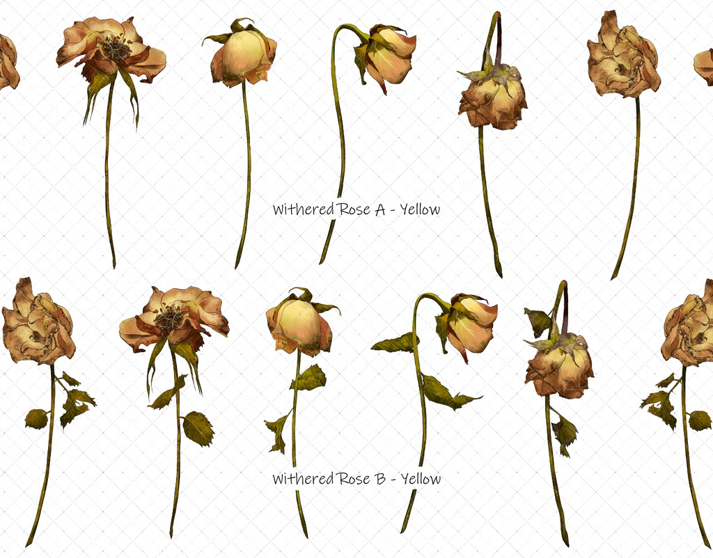 枯れたバラブラシ 7色 35本