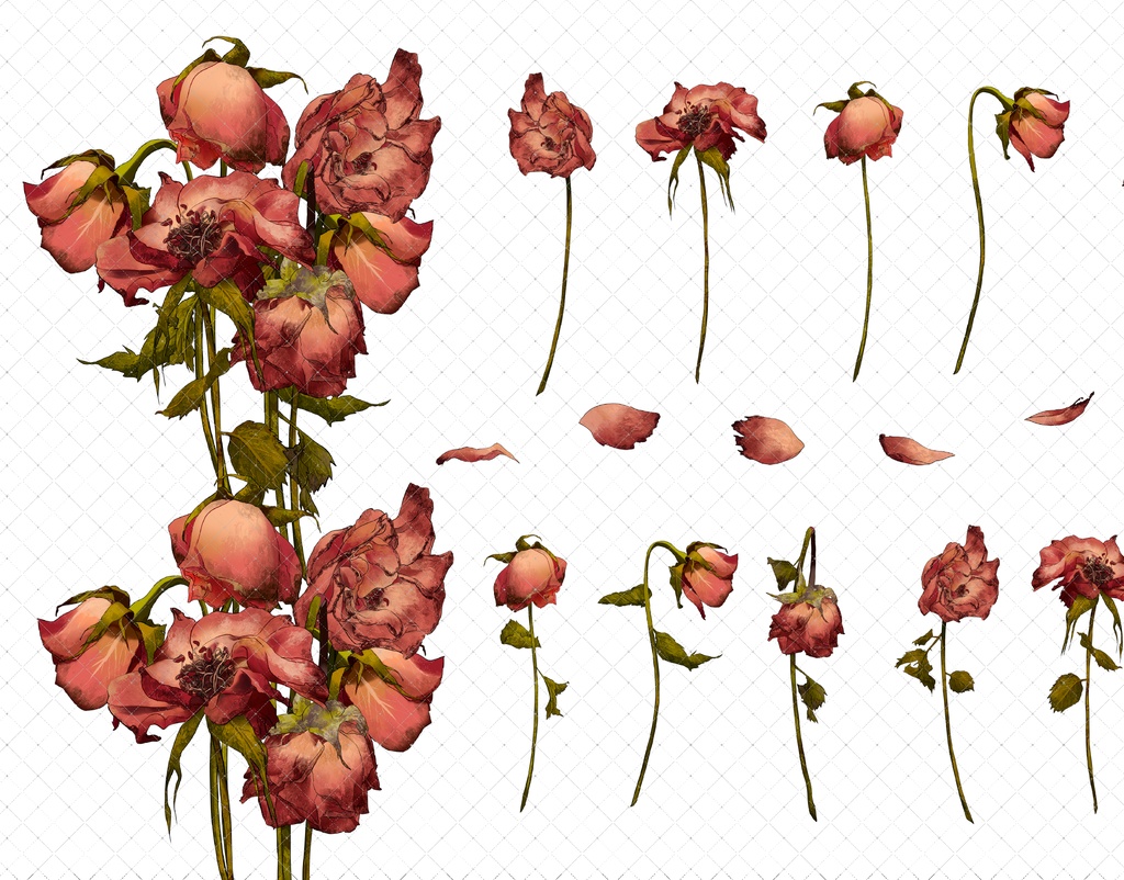 枯れたバラブラシ 7色 35本