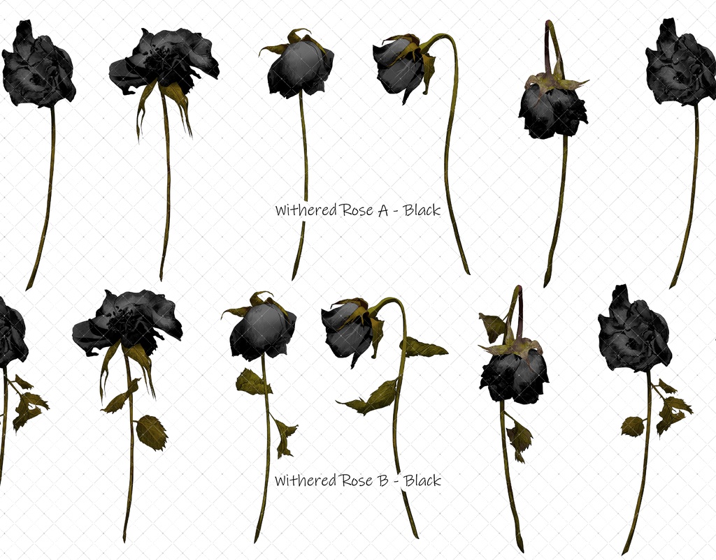 枯れたバラブラシ 7色 35本