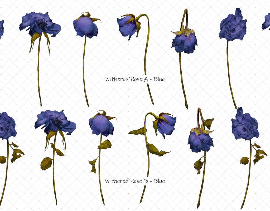 枯れたバラブラシ 7色 35本