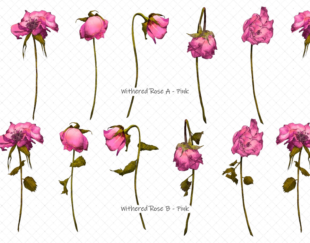 枯れたバラブラシ 7色 35本