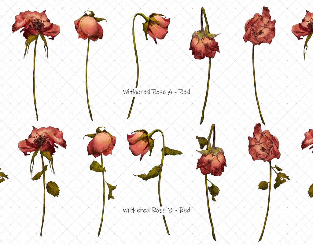 枯れたバラブラシ 7色 35本