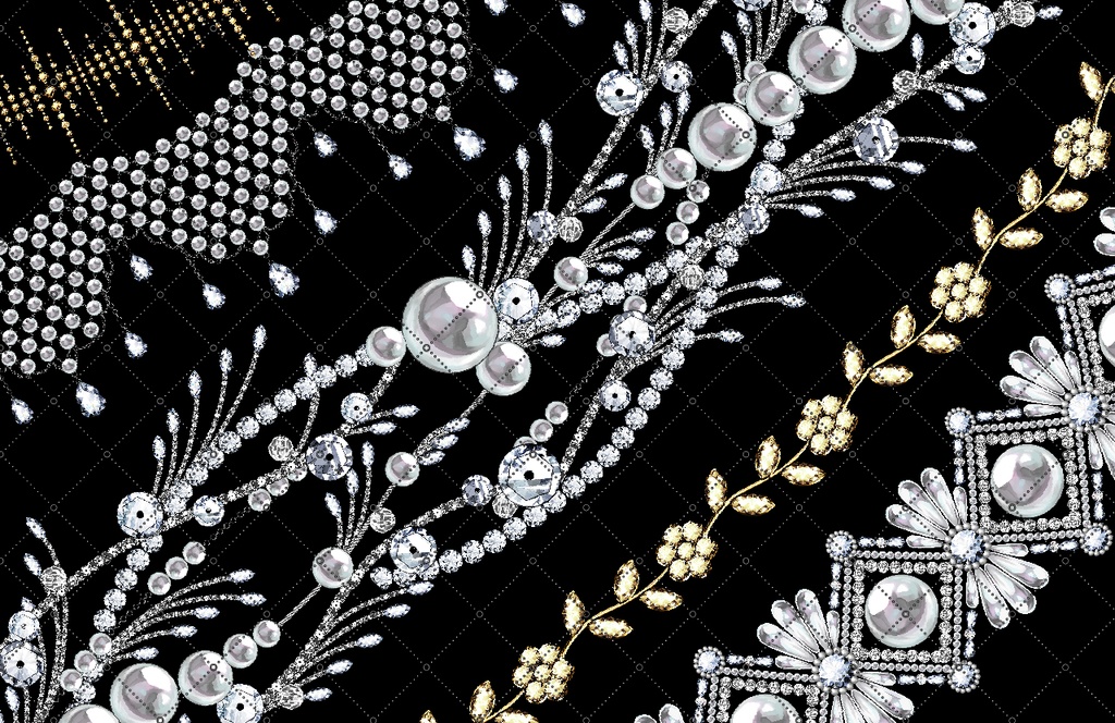 ビジュー刺繍 装飾ブラシパック2