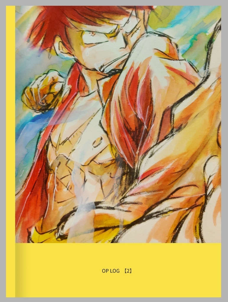 OP  LOG 【2】