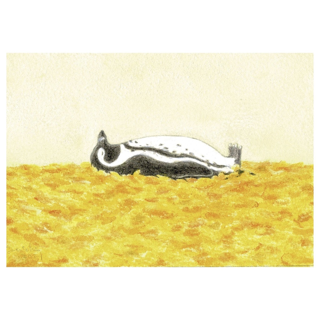 あたたかい秋