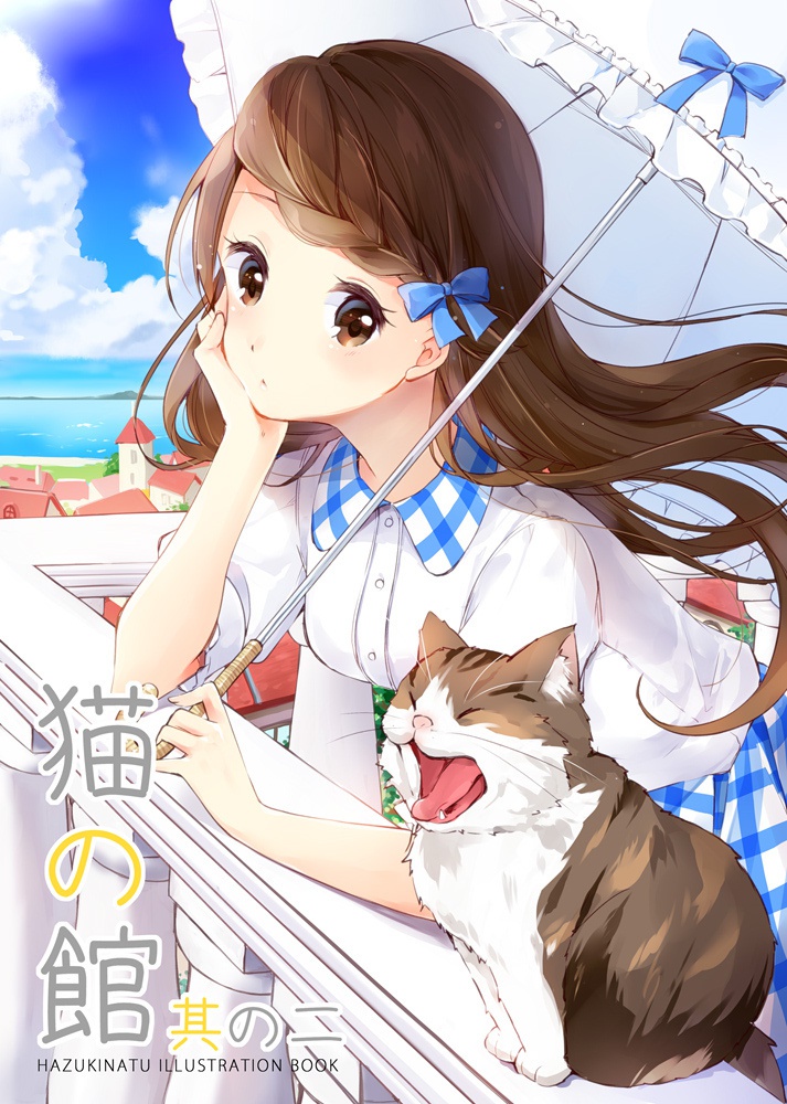 猫の館２