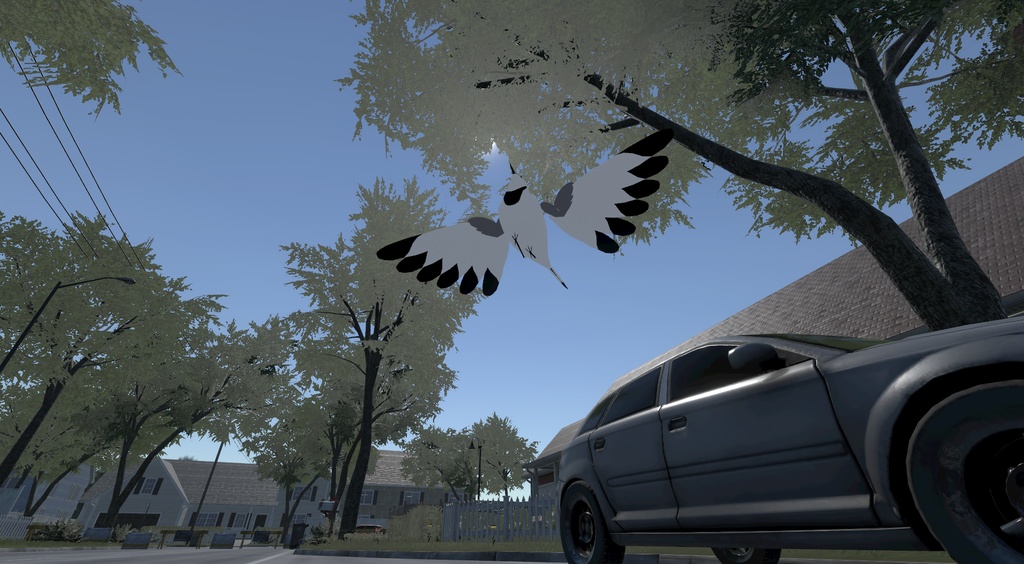 【オリジナル3Dモデル】ハクセキレイ