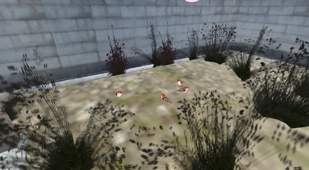 【オリジナル3Dモデル】スズメ