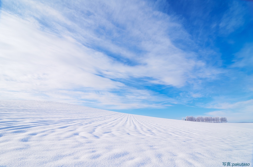 白雪原