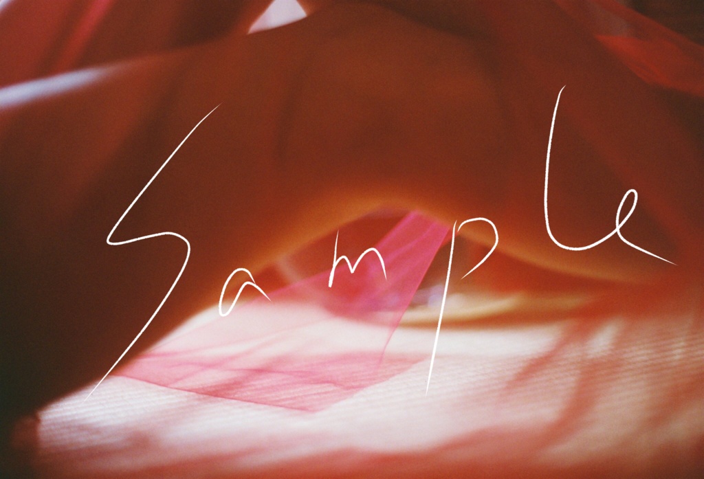 【数量限定】蜜のたはむれ【フォトブック】