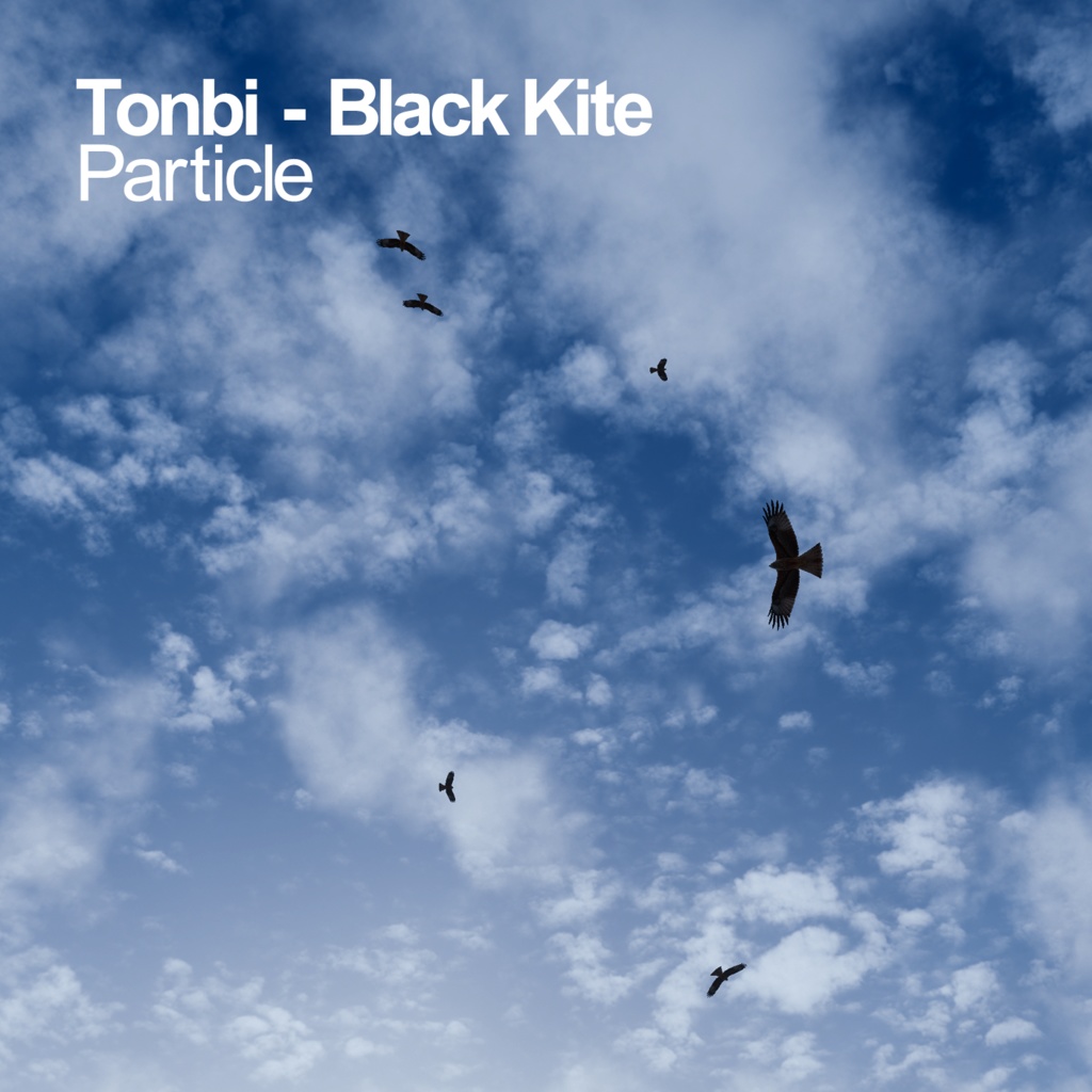 [ピーヒョロロ]鳴き声付きとんびパーティクル / Black Kite Particle with Bird Call