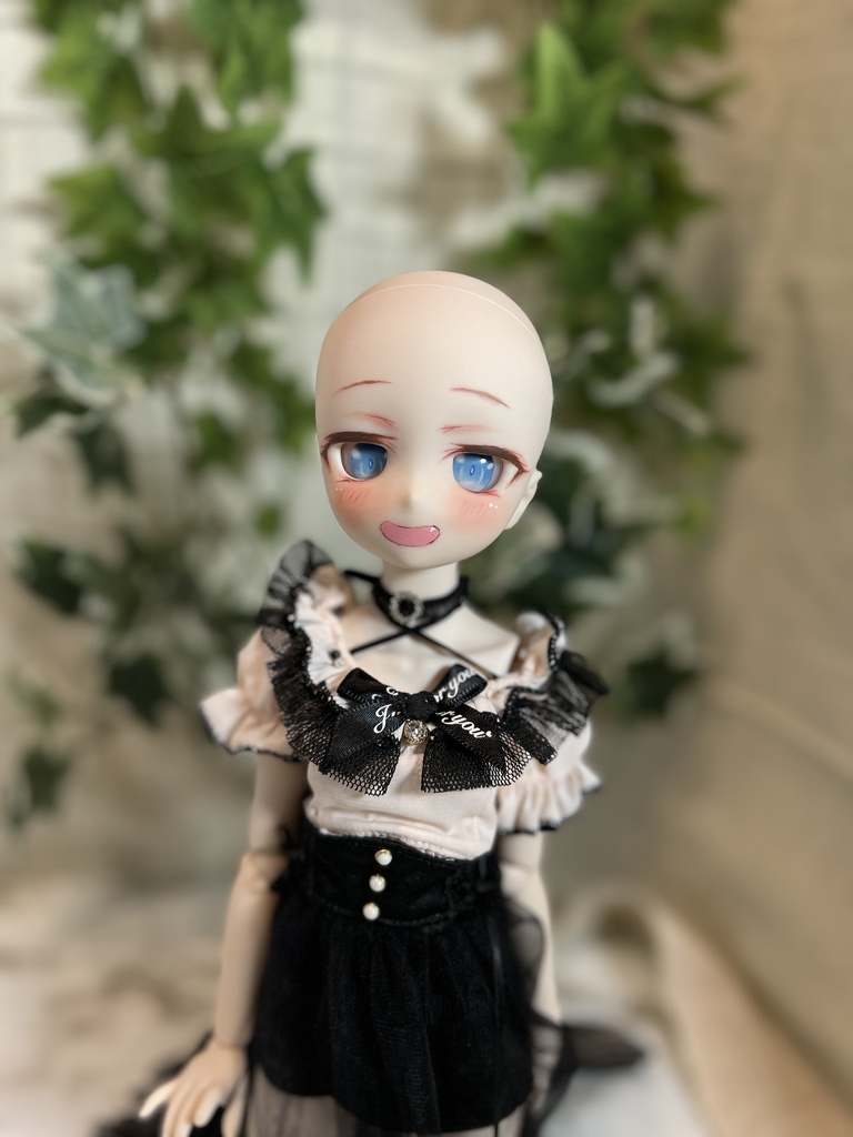 【DDH-029 SW】カスタムヘッド+レジンアイ