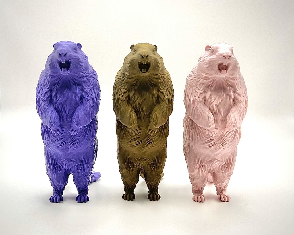 Insomnia3D 叫ぶマーモット ScreamingMarmot 1st Color