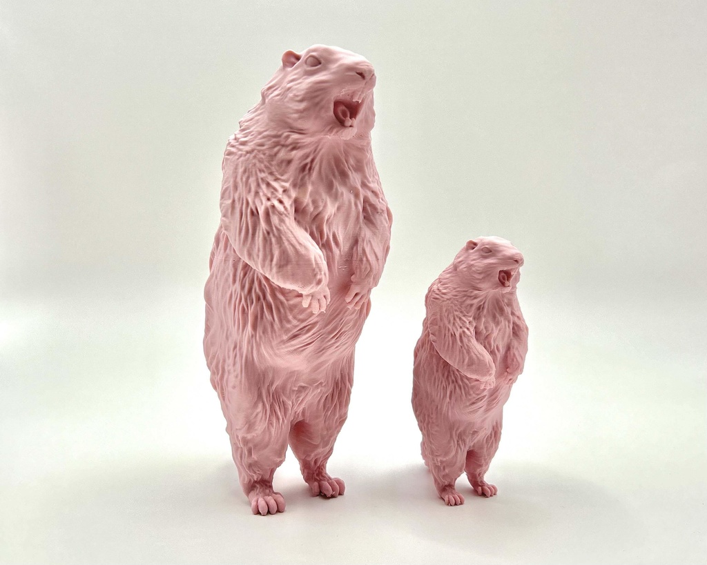 Insomnia3D 叫ぶマーモット ScreamingMarmot 1st Color