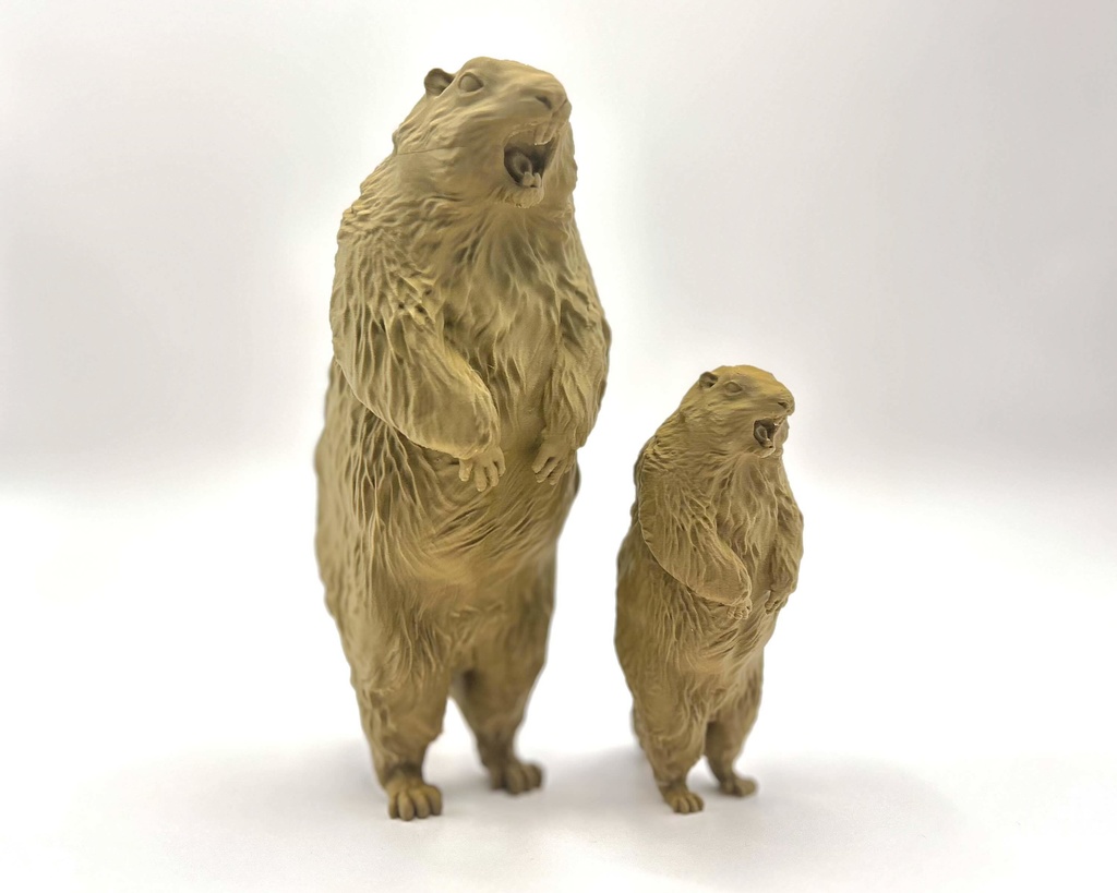 Insomnia3D 叫ぶマーモット ScreamingMarmot 1st Color