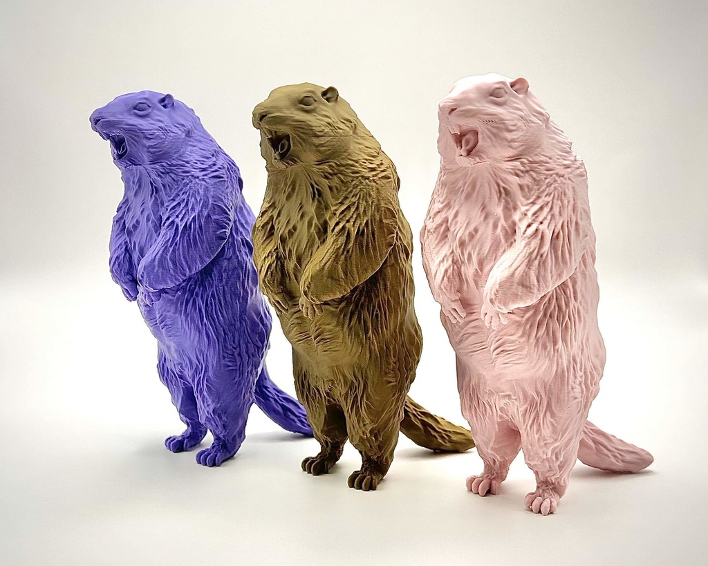 Insomnia3D 叫ぶマーモット ScreamingMarmot 1st Color