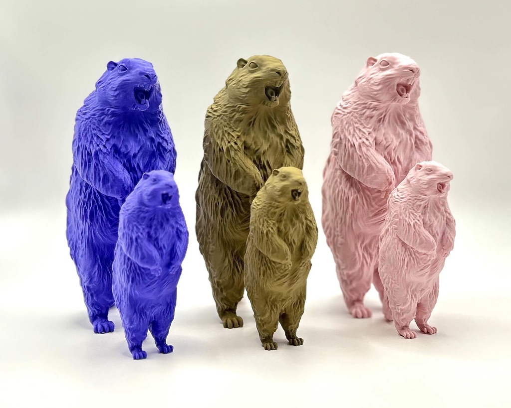 Insomnia3D 叫ぶマーモット ScreamingMarmot 1st Color