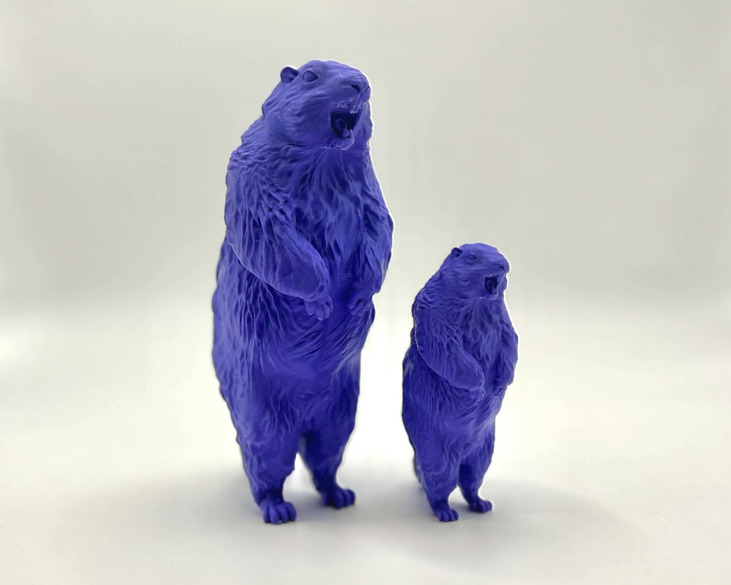 Insomnia3D 叫ぶマーモット ScreamingMarmot 1st Color