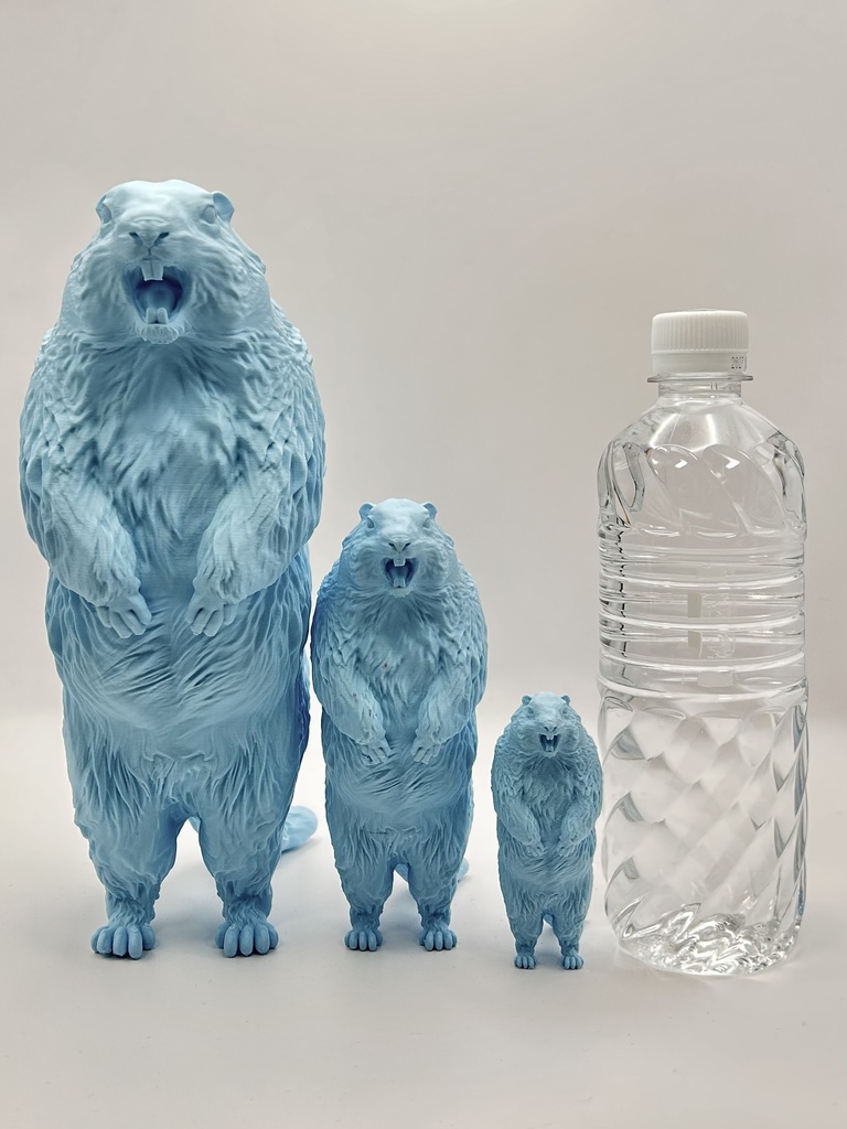 Insomnia3D 叫ぶマーモット ScreamingMarmot 2nd Color