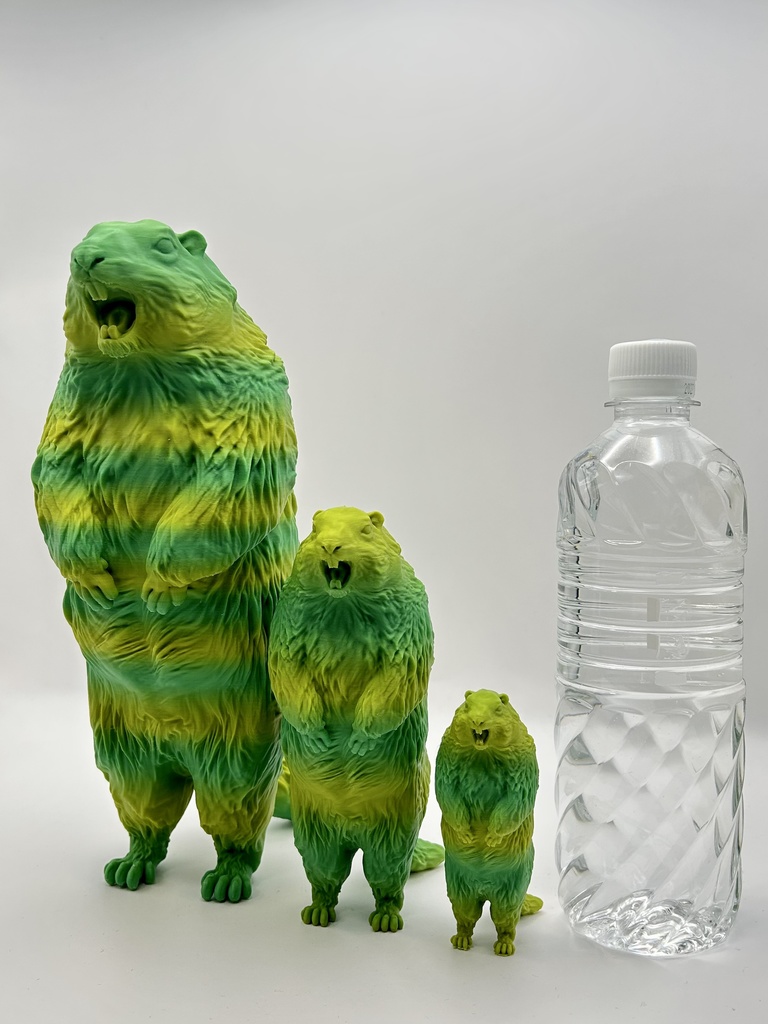 Insomnia3D 叫ぶマーモット ScreamingMarmot 2nd Color