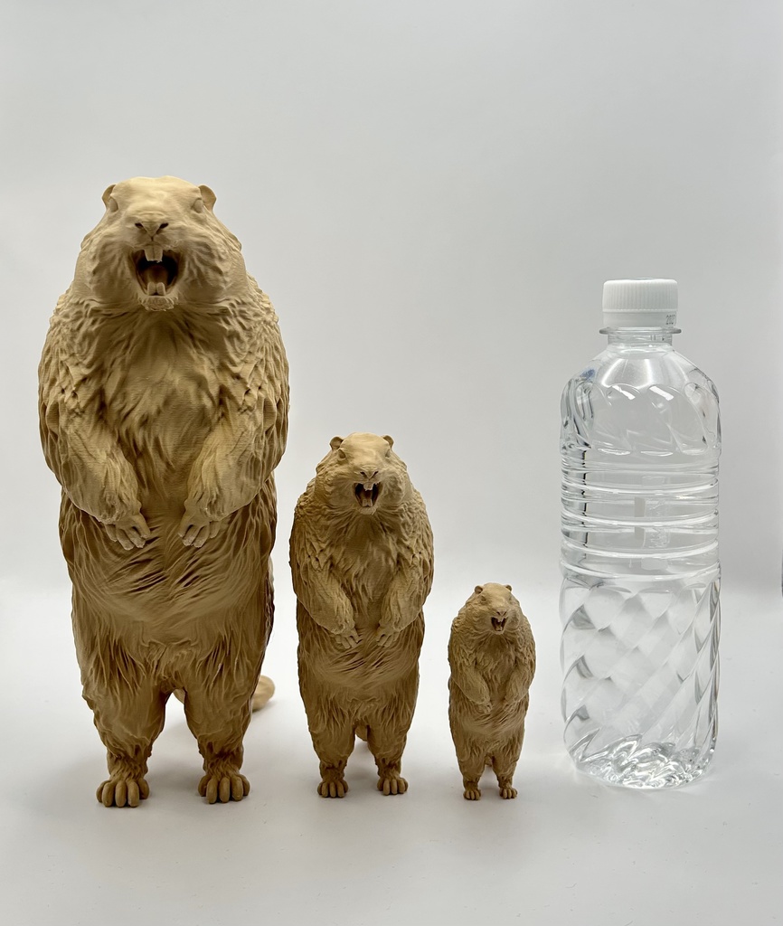Insomnia3D 叫ぶマーモット ScreamingMarmot 2nd Color