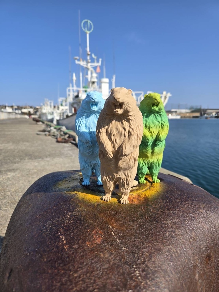 Insomnia3D 叫ぶマーモット ScreamingMarmot 2nd Color