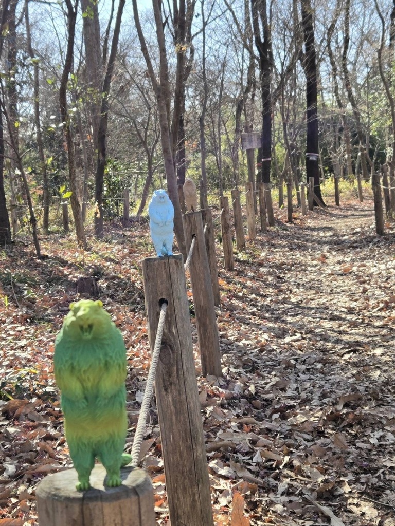 Insomnia3D 叫ぶマーモット ScreamingMarmot 2nd Color