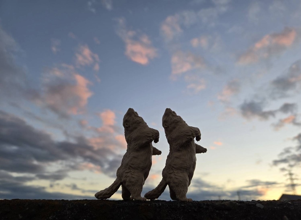 Insomnia3D 闘うマーモット FightingMarmot 1st Color