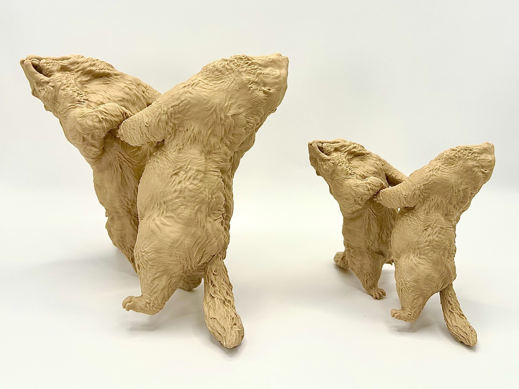 Insomnia3D 闘うマーモット FightingMarmot 1st Color