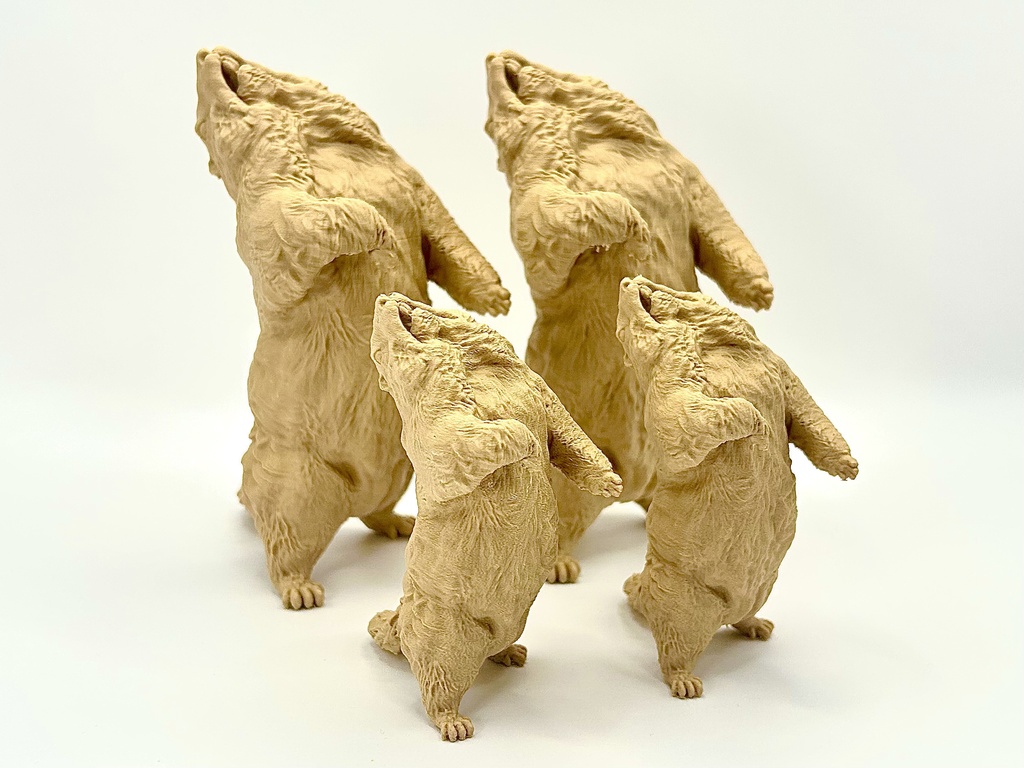 Insomnia3D 闘うマーモット FightingMarmot 1st Color