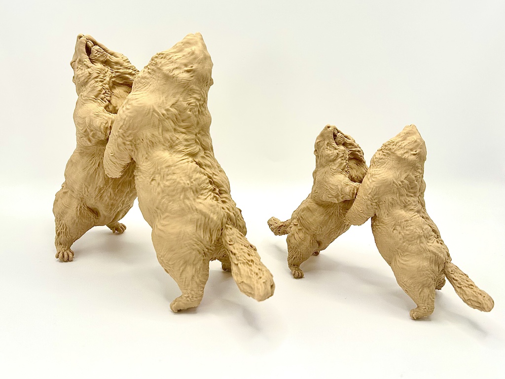 Insomnia3D 闘うマーモット FightingMarmot 1st Color