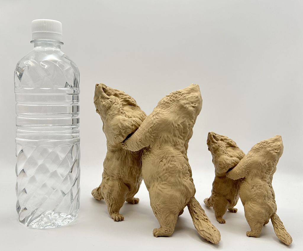 Insomnia3D 闘うマーモット FightingMarmot 1st Color