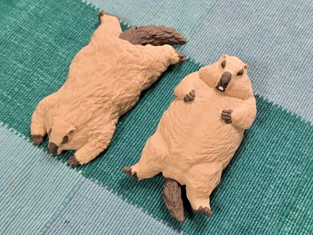 <10月発送> どこでもペターンマーモット “ぺたーん” “へそ天” 予約販売