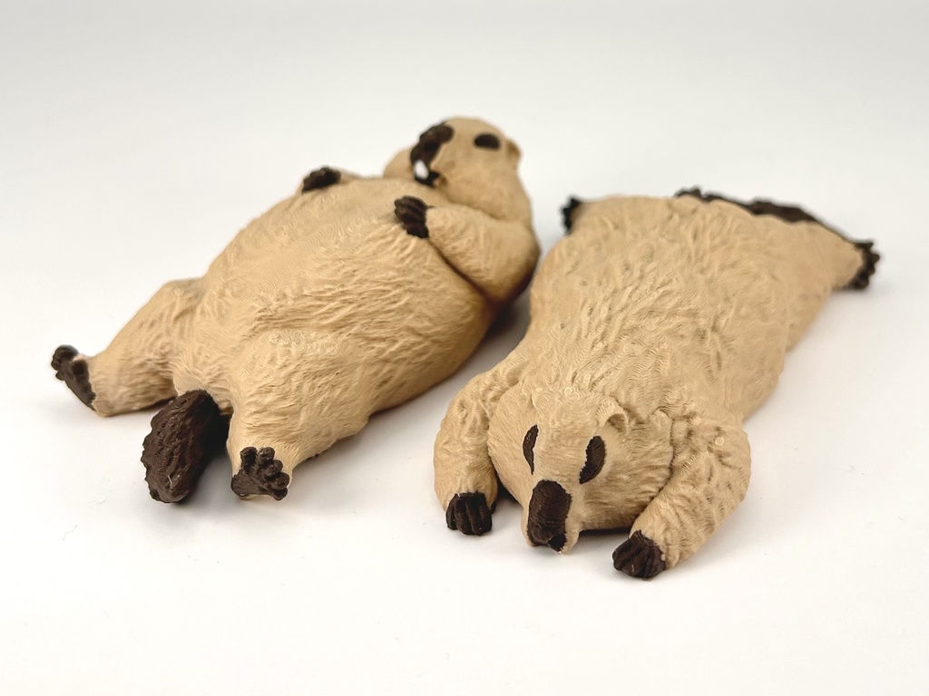 <10月発送> どこでもペターンマーモット “ぺたーん” “へそ天” 予約販売