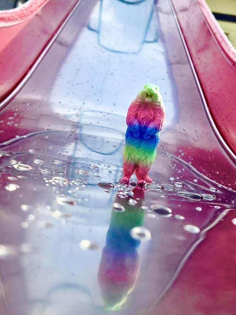 <10月発送>叫ぶマーモット ScreamingMarmot 3rd Color 予約販売