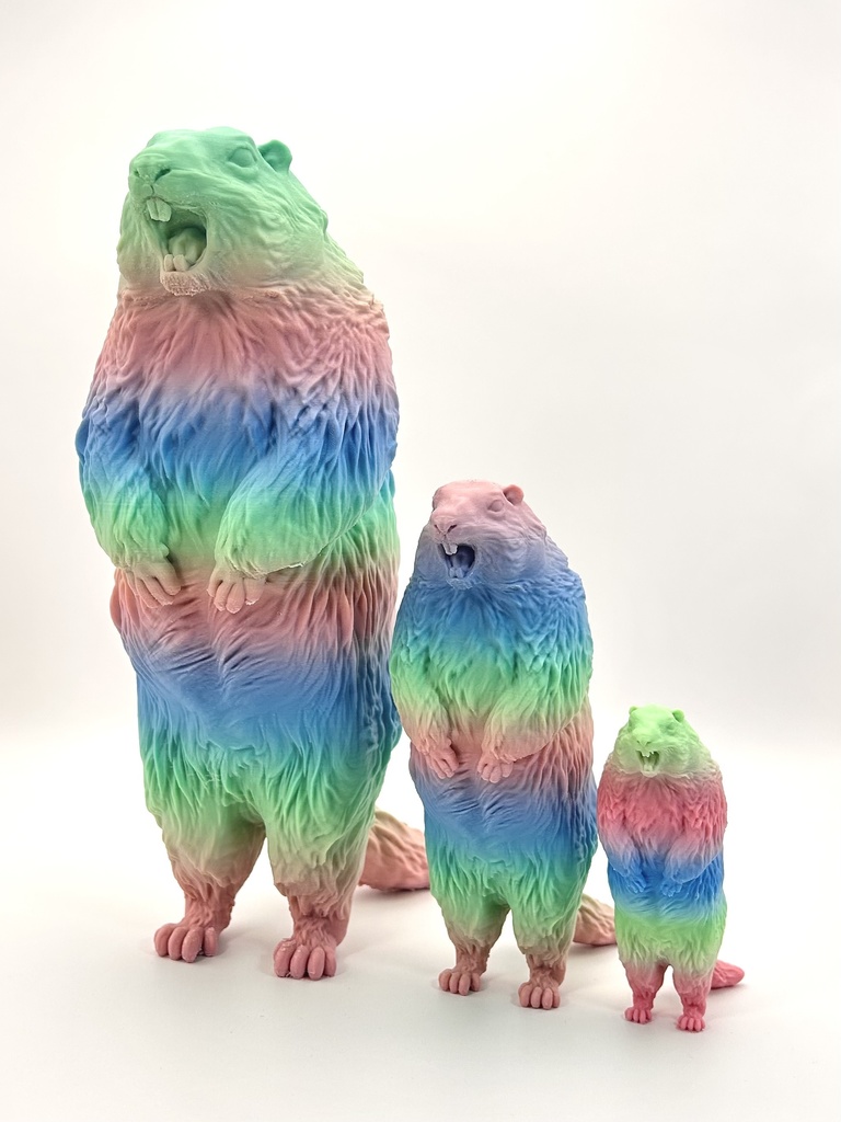 <10月発送>叫ぶマーモット ScreamingMarmot 3rd Color 予約販売