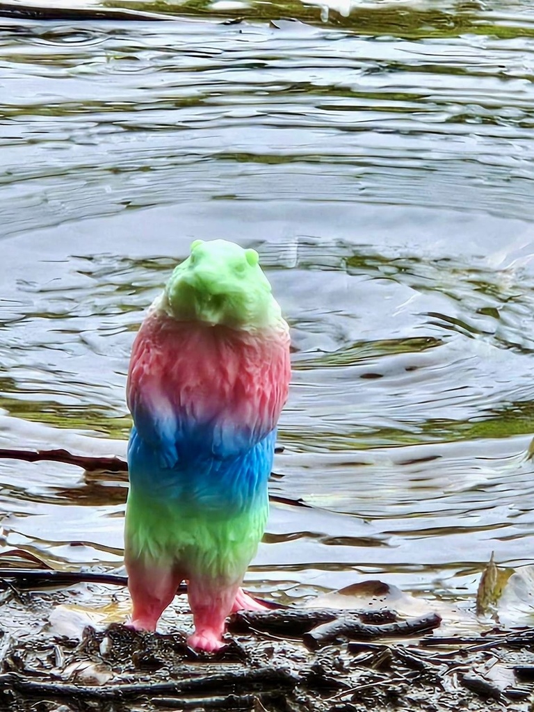 <10月発送>叫ぶマーモット ScreamingMarmot 3rd Color 予約販売