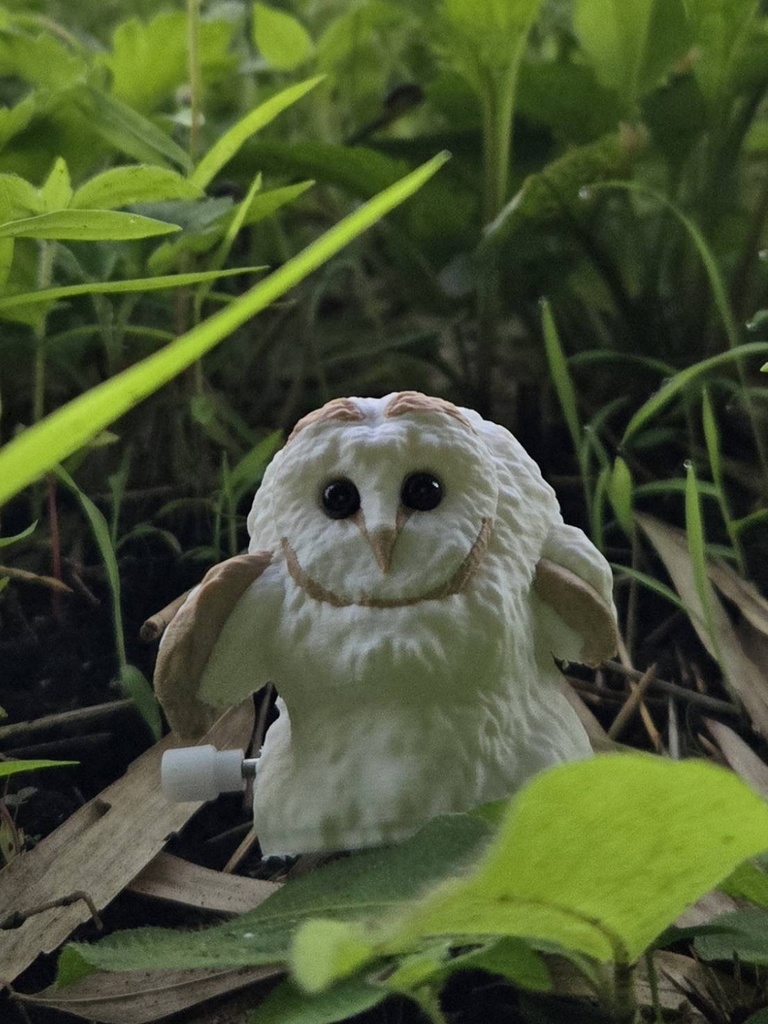 爆走!!走るメンフクロウの赤ちゃん