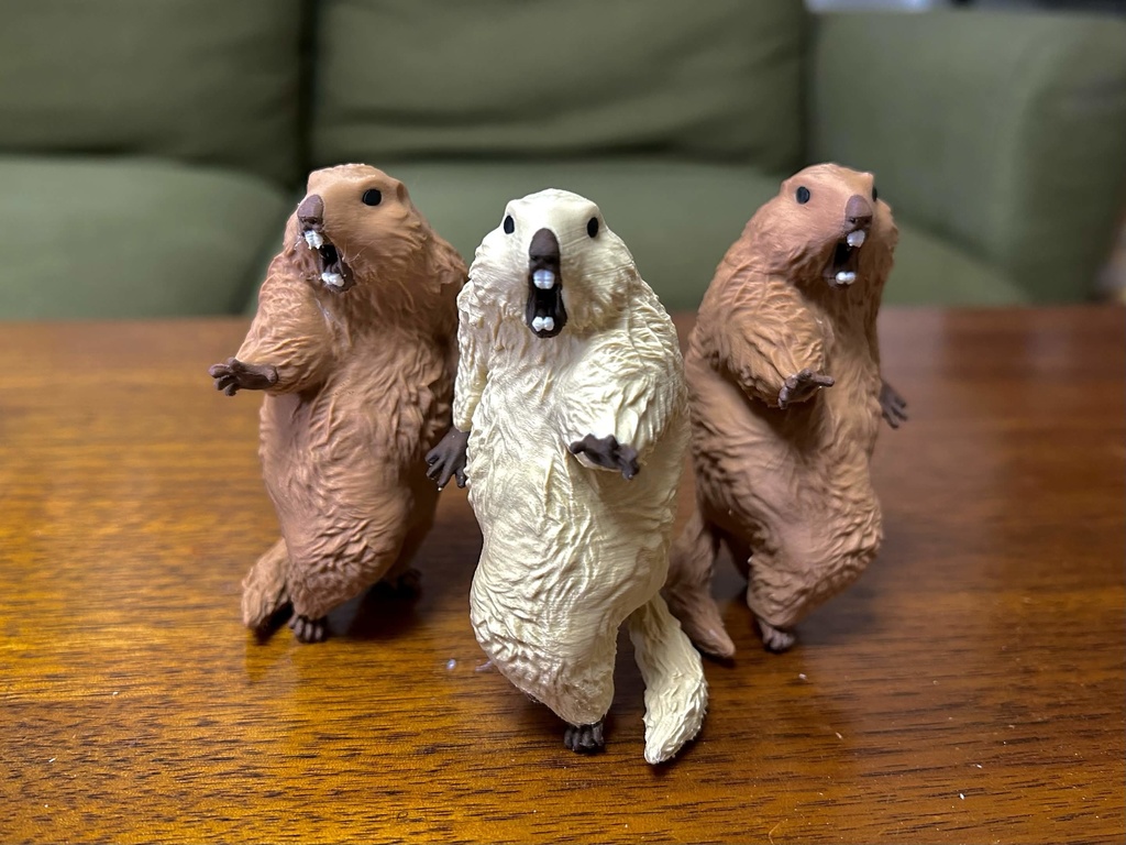 (4月発送予約) びっくりマーモットアナザー