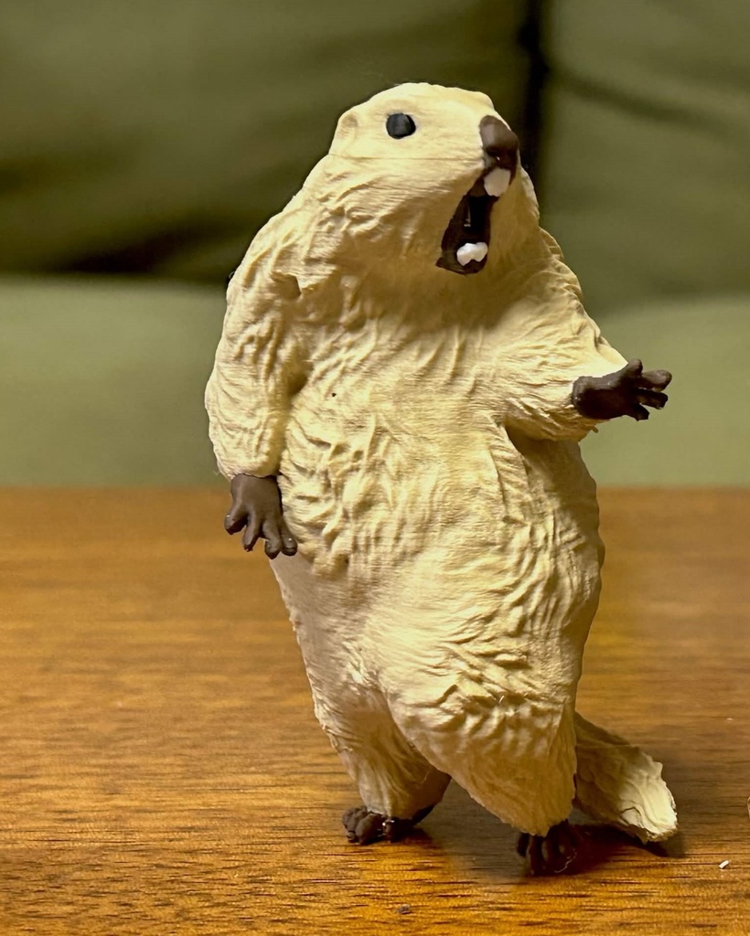 (４月発送予約)　びっくりマーモットアナザー