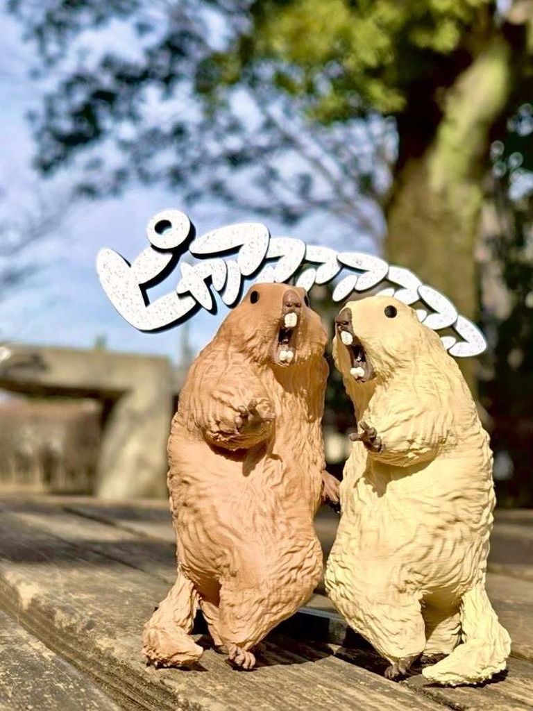 (4月発送予約) びっくりマーモットアナザー